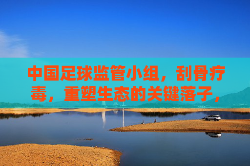 中国足球监管小组，刮骨疗毒，重塑生态的关键落子，中国足球监管小组，刮骨疗毒重塑生态的关键落子