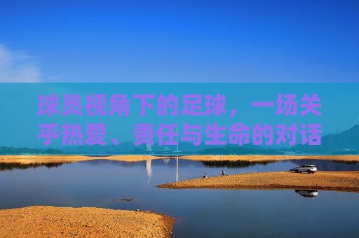 球员视角下的足球，一场关乎热爱、责任与生命的对话，球员视角下的足球，热爱、责任与生命的对话