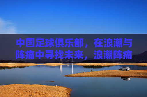 中国足球俱乐部,在浪潮与阵痛中寻找未来,浪潮阵痛中,中国足球俱乐部寻未来 中国足球俱乐部,在浪潮与阵痛中寻找未来,浪潮阵痛中,中国足球俱乐部寻未来