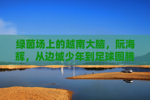绿茵场上的越南大脑，阮海辉，从边城少年到足球图腾，越南大脑阮海辉，从边城少年到足球图腾