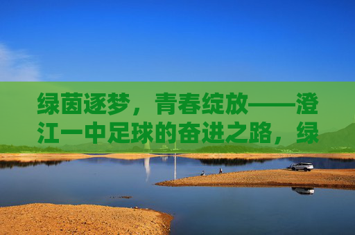 绿茵逐梦，青春绽放——澄江一中足球的奋进之路，绿茵逐梦，青春绽放——澄江一中足球奋进之路