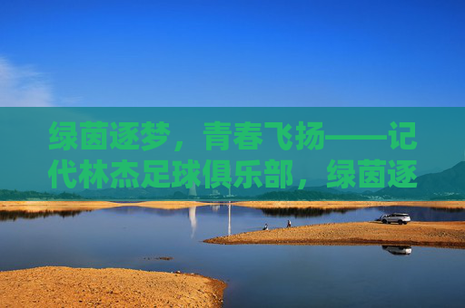 绿茵逐梦，青春飞扬——记代林杰足球俱乐部，绿茵逐梦，青春飞扬——记代林杰足球俱乐部