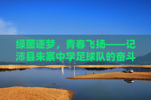 绿茵逐梦，青春飞扬——记沛县朱寨中学足球队的奋斗之路，沛县朱寨中学足球队，青春飞扬绿茵逐梦