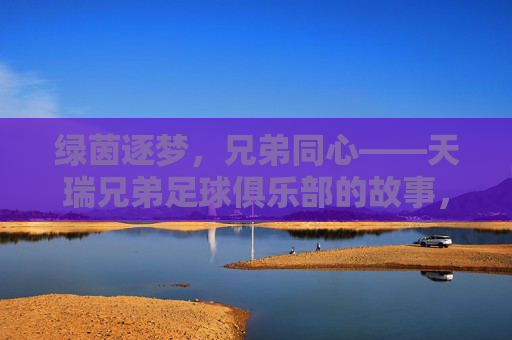 绿茵逐梦,兄弟同心——天瑞兄弟足球俱乐部的故事,绿茵逐梦,兄弟同心——天瑞兄弟足球俱乐部 绿茵逐梦,兄弟同心——天瑞兄弟足球俱乐部的故事,绿茵逐梦,兄弟同心——天瑞兄弟足球俱乐部