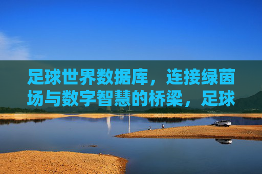 足球世界数据库，连接绿茵场与数字智慧的桥梁，足球世界数据库，连接绿茵场与数字智慧的桥梁