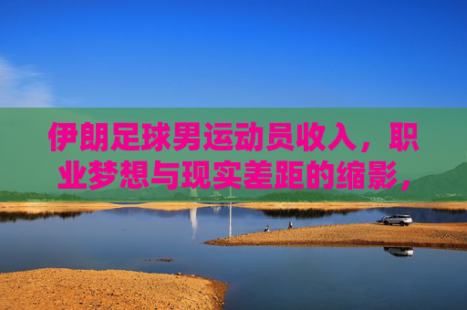 伊朗足球男运动员收入，职业梦想与现实差距的缩影，伊朗男足球员收入，职业梦想与现实差距的缩影