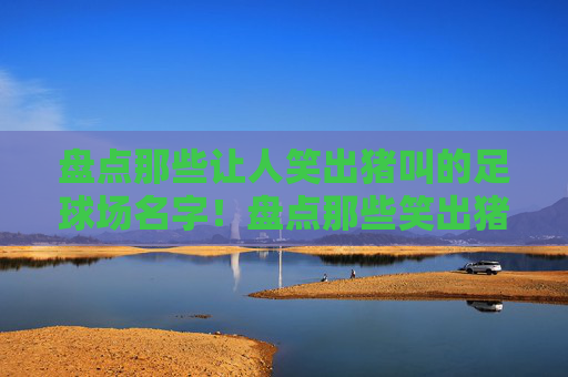盘点那些让人笑出猪叫的足球场名字！盘点那些笑出猪叫的足球场名字！