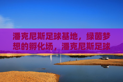 潘克尼斯足球基地，绿茵梦想的孵化场，潘克尼斯足球基地，绿茵梦想的孵化场
