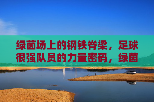 绿茵场上的钢铁脊梁，足球很强队员的力量密码，绿茵钢铁脊梁，足球队员力量密码