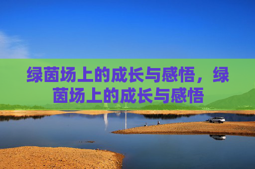 绿茵场上的成长与感悟，绿茵场上的成长与感悟