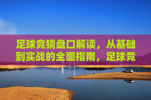 足球竞猜盘口解读，从基础到实战的全面指南，足球竞猜盘口解读，从基础到实战全指南