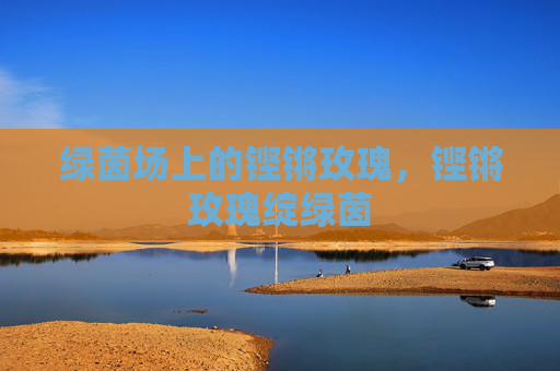 绿茵场上的铿锵玫瑰，铿锵玫瑰绽绿茵