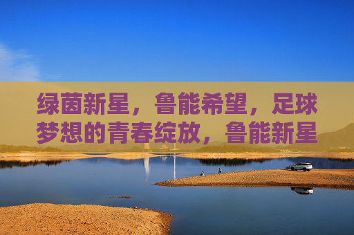 绿茵新星,鲁能希望,足球梦想的青春绽放,鲁能新星逐梦青春 绿茵新星,鲁能希望,足球梦想的青春绽放,鲁能新星逐梦青春
