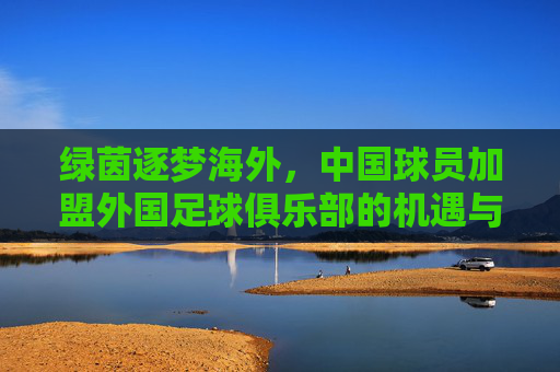 绿茵逐梦海外,中国球员加盟外国足球俱乐部的机遇与挑战,绿茵逐梦海外,中国球员留洋的机遇与挑战 绿茵逐梦海外,中国球员加盟外国足球俱乐部的机遇与挑战,绿茵逐梦海外,中国球员留洋的机遇与挑战