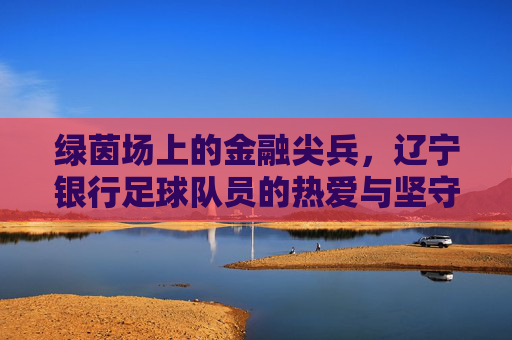 绿茵场上的金融尖兵，辽宁银行足球队员的热爱与坚守，绿茵金融尖兵，辽宁银行足球队的热爱与坚守