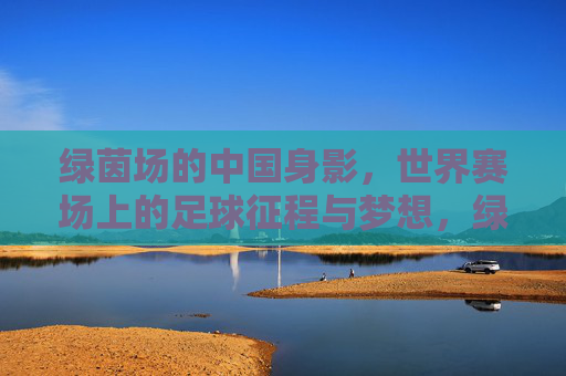 绿茵场的中国身影，世界赛场上的足球征程与梦想，绿茵逐梦，中国足球的世界征程