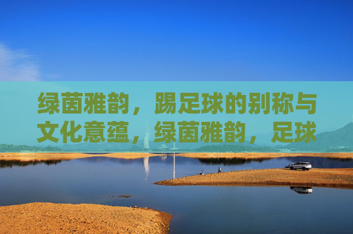 绿茵雅韵，踢足球的别称与文化意蕴，绿茵雅韵，足球别称的文化意蕴