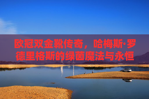 欧冠双金靴传奇，哈梅斯·罗德里格斯的绿茵魔法与永恒瞬间，欧冠双金靴传奇，哈梅斯的绿茵魔法与永恒瞬间