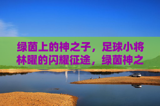 绿茵上的神之子,足球小将林曜的闪耀征途,绿茵神之子,林曜的闪耀征途 绿茵上的神之子,足球小将林曜的闪耀征途,绿茵神之子,林曜的闪耀征途
