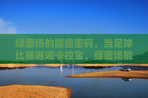 绿茵场的能量密码,当足球比赛邂逅卡拉宝,绿茵场能量密码,足球比赛邂逅卡拉宝 绿茵场的能量密码,当足球比赛邂逅卡拉宝,绿茵场能量密码,足球比赛邂逅卡拉宝