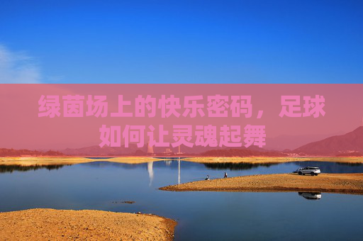 绿茵场上的快乐密码,足球如何让灵魂起舞 绿茵场上的快乐密码,足球如何让灵魂起舞