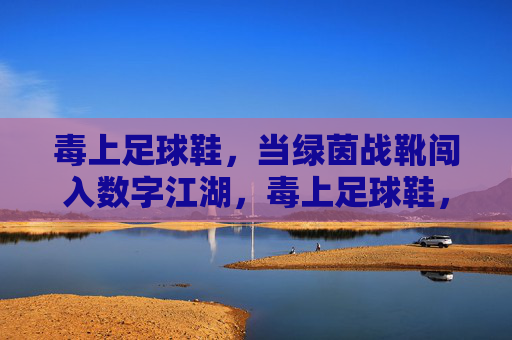 毒上足球鞋，当绿茵战靴闯入数字江湖，毒上足球鞋，绿茵战靴闯数字江湖