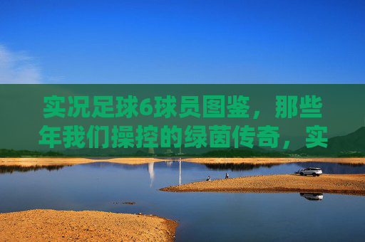实况足球6球员图鉴，那些年我们操控的绿茵传奇，实况足球6球员图鉴，那些年我们操控的绿茵传奇