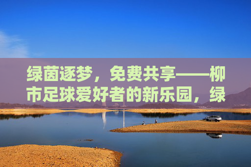 绿茵逐梦，免费共享——柳市足球爱好者的新乐园，绿茵逐梦，免费共享——柳市足球新乐园