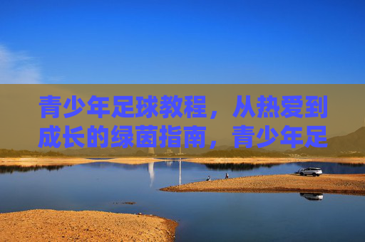 青少年足球教程，从热爱到成长的绿茵指南，青少年足球教程，从热爱到成长的绿茵指南