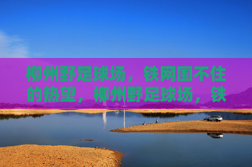 柳州野足球场，铁网围不住的热望，柳州野足球场，铁网围不住的热望