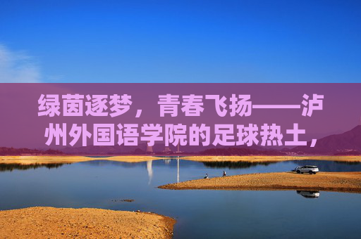 绿茵逐梦，青春飞扬——泸州外国语学院的足球热土，绿茵逐梦，青春飞扬——泸州外国语学院的足球热土