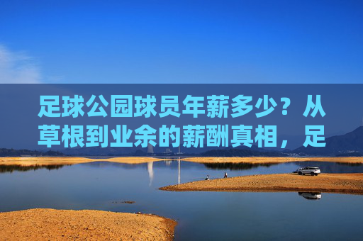 足球公园球员年薪多少？从草根到业余的薪酬真相，足球公园球员年薪揭秘，草根到业余的薪酬真相