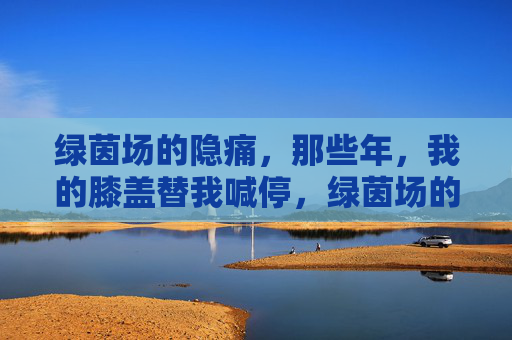 绿茵场的隐痛，那些年，我的膝盖替我喊停，绿茵场的隐痛，那些年，膝盖替我喊停