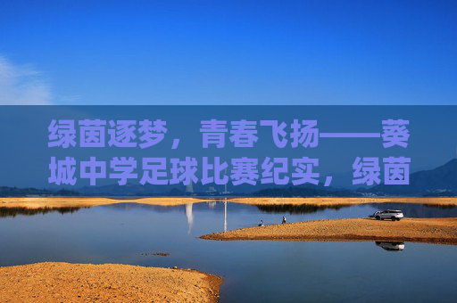 绿茵逐梦，青春飞扬——葵城中学足球比赛纪实，绿茵逐梦，青春飞扬——葵城中学足球赛