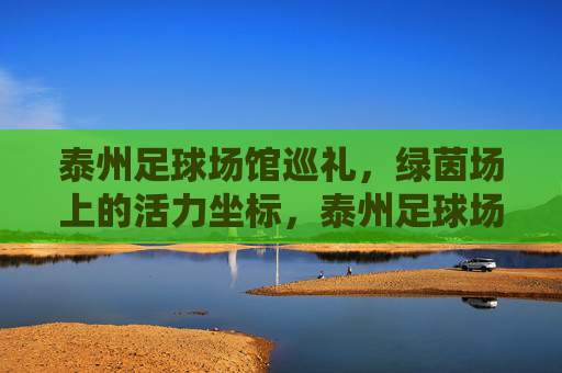 泰州足球场馆巡礼，绿茵场上的活力坐标，泰州足球场馆，绿茵活力坐标