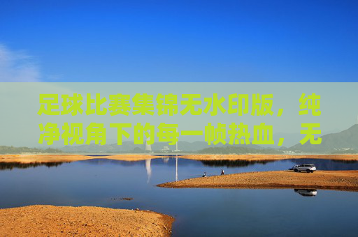 足球比赛集锦无水印版，纯净视角下的每一帧热血，无水印足球集锦，纯净视角帧帧热血
