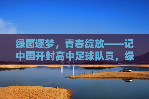 绿茵逐梦，青春绽放——记中国开封高中足球队员，绿茵逐梦，青春绽放——开封高中足球队员