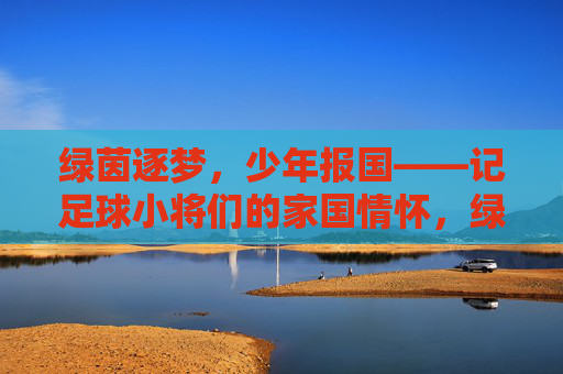 绿茵逐梦，少年报国——记足球小将们的家国情怀，绿茵逐梦少年志，报国情怀足球心