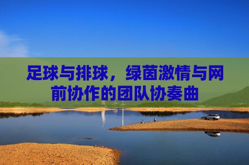 足球与排球,绿茵激情与网前协作的团队协奏曲 足球与排球,绿茵激情与网前协作的团队协奏曲