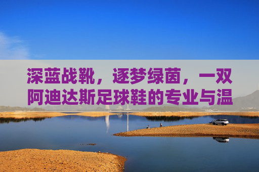 深蓝战靴，逐梦绿茵，一双阿迪达斯足球鞋的专业与温度，深蓝战靴逐梦绿茵，阿迪达斯足球鞋的专业与温度