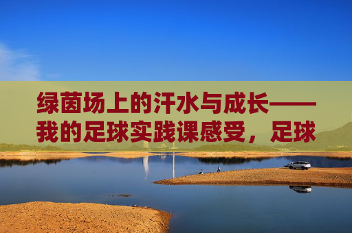 绿茵场上的汗水与成长——我的足球实践课感受，足球实践课，绿茵场上的汗水与成长