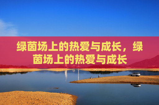 绿茵场上的热爱与成长，绿茵场上的热爱与成长