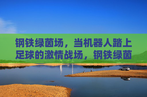 钢铁绿茵场，当机器人踏上足球的激情战场，钢铁绿茵场，机器人足球的激情战场