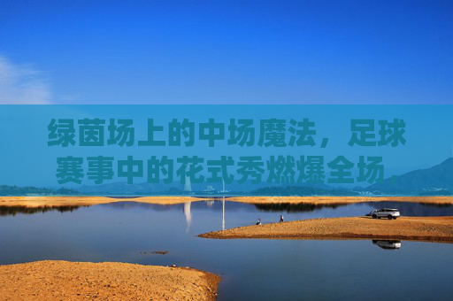 绿茵场上的中场魔法，足球赛事中的花式秀燃爆全场，绿茵中场魔法，花式秀燃爆全场