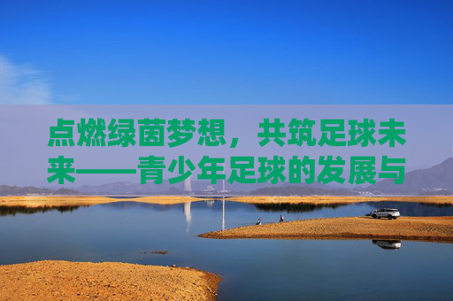 点燃绿茵梦想,共筑足球未来——青少年足球的发展与展望,青少年足球,筑梦绿茵,展望未来 点燃绿茵梦想,共筑足球未来——青少年足球的发展与展望,青少年足球,筑梦绿茵,展望未来