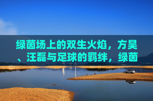 绿茵场上的双生火焰，方昊、汪磊与足球的羁绊，绿茵双生焰，方昊、汪磊的足球羁绊