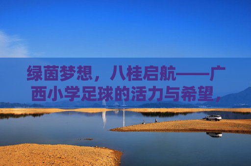 绿茵梦想,八桂启航——广西小学足球的活力与希望,绿茵梦想启航八桂,活力希望小学足球 绿茵梦想,八桂启航——广西小学足球的活力与希望,绿茵梦想启航八桂,活力希望小学足球