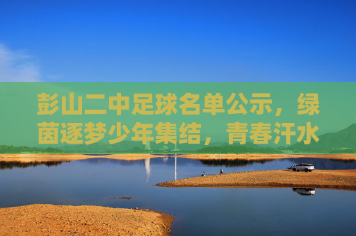 彭山二中足球名单公示，绿茵逐梦少年集结，青春汗水铸就未来，彭山二中足球名单公示，绿茵逐梦少年集结，青春汗水铸就未来