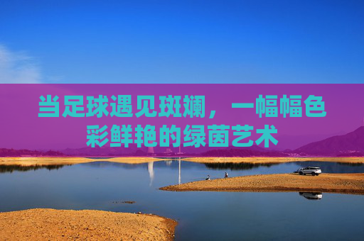 当足球遇见斑斓,一幅幅色彩鲜艳的绿茵艺术 当足球遇见斑斓,一幅幅色彩鲜艳的绿茵艺术