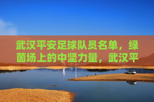 武汉平安足球队员名单，绿茵场上的中坚力量，武汉平安足球队员名单，绿茵场上的中坚力量